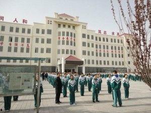 伊春中学网红吃瓜,揭秘校园生活趣味瞬间