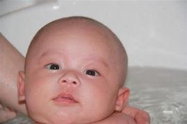 吃瓜网周周乖崽,揭秘娱乐圈幕后故事