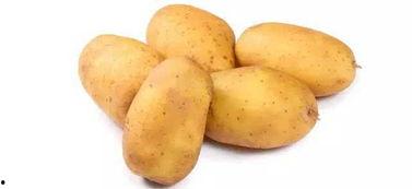 土豆bug直播网红吃瓜,揭秘娱乐圈幕后真相