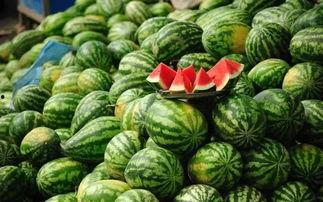 拉萨网红吃瓜事件真相揭秘